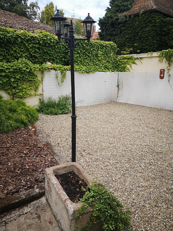 Appart 4 Pers Design Et Cosy Avec Jardin Au Coeur De 塞莱斯塔 外观 照片